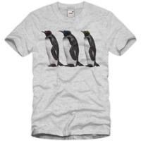 T-Shirt: Penguins
